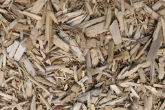 biomass boilers Vauld
